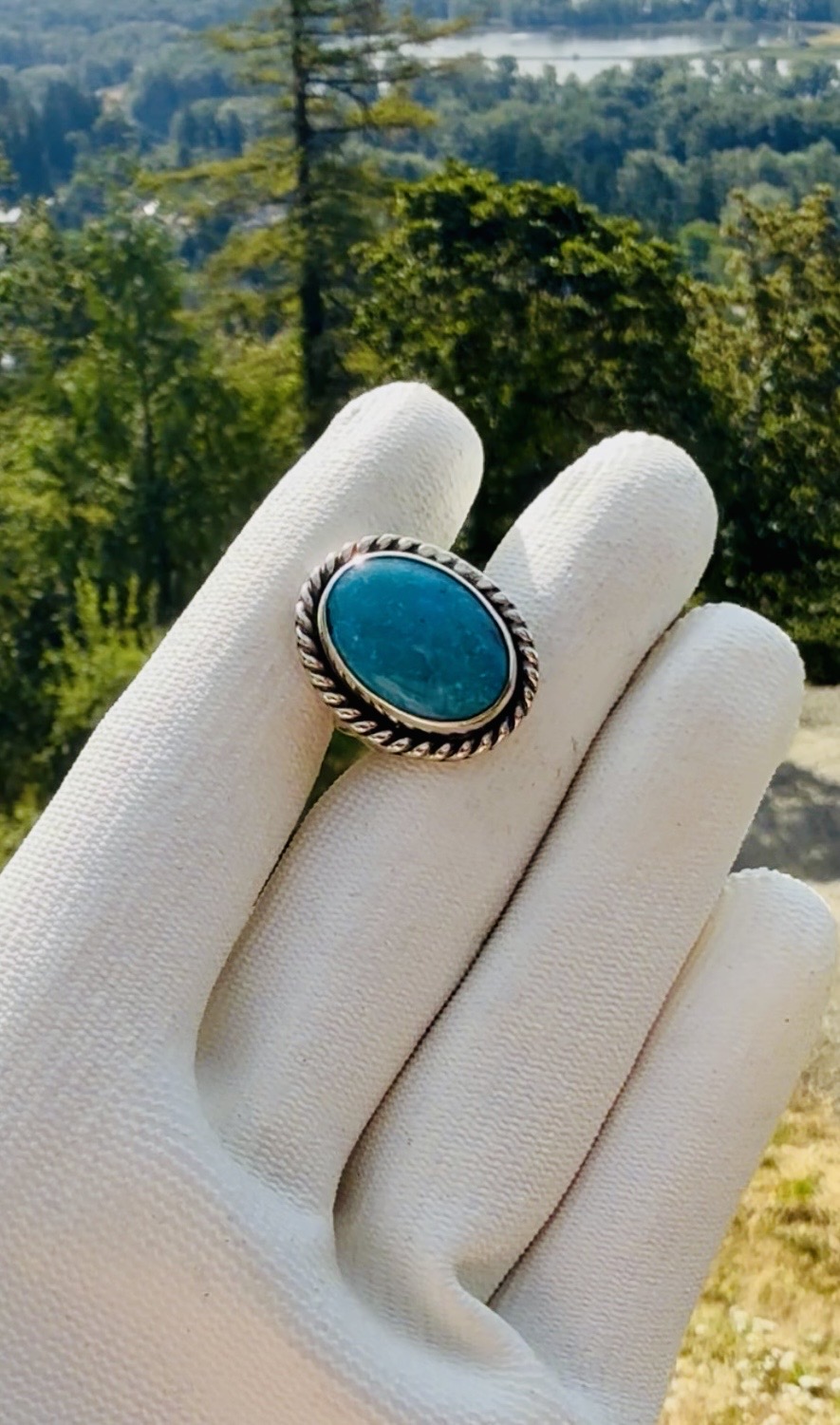 Turquoise oval ring with silver rope bezel